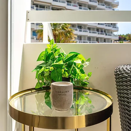 Splendid 314 Apartament